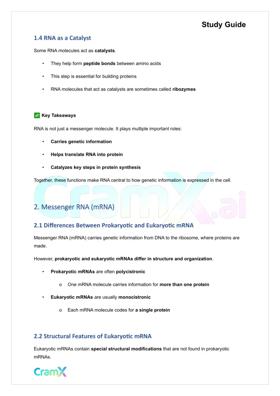 Biochemistry-II - RNA and Transcription, page 2