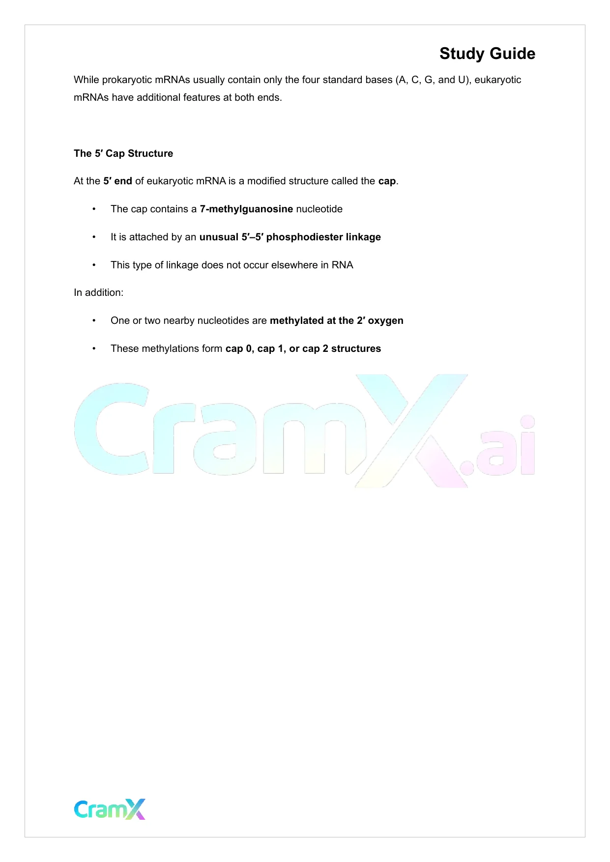 Biochemistry-II - RNA and Transcription - Page 3 preview image