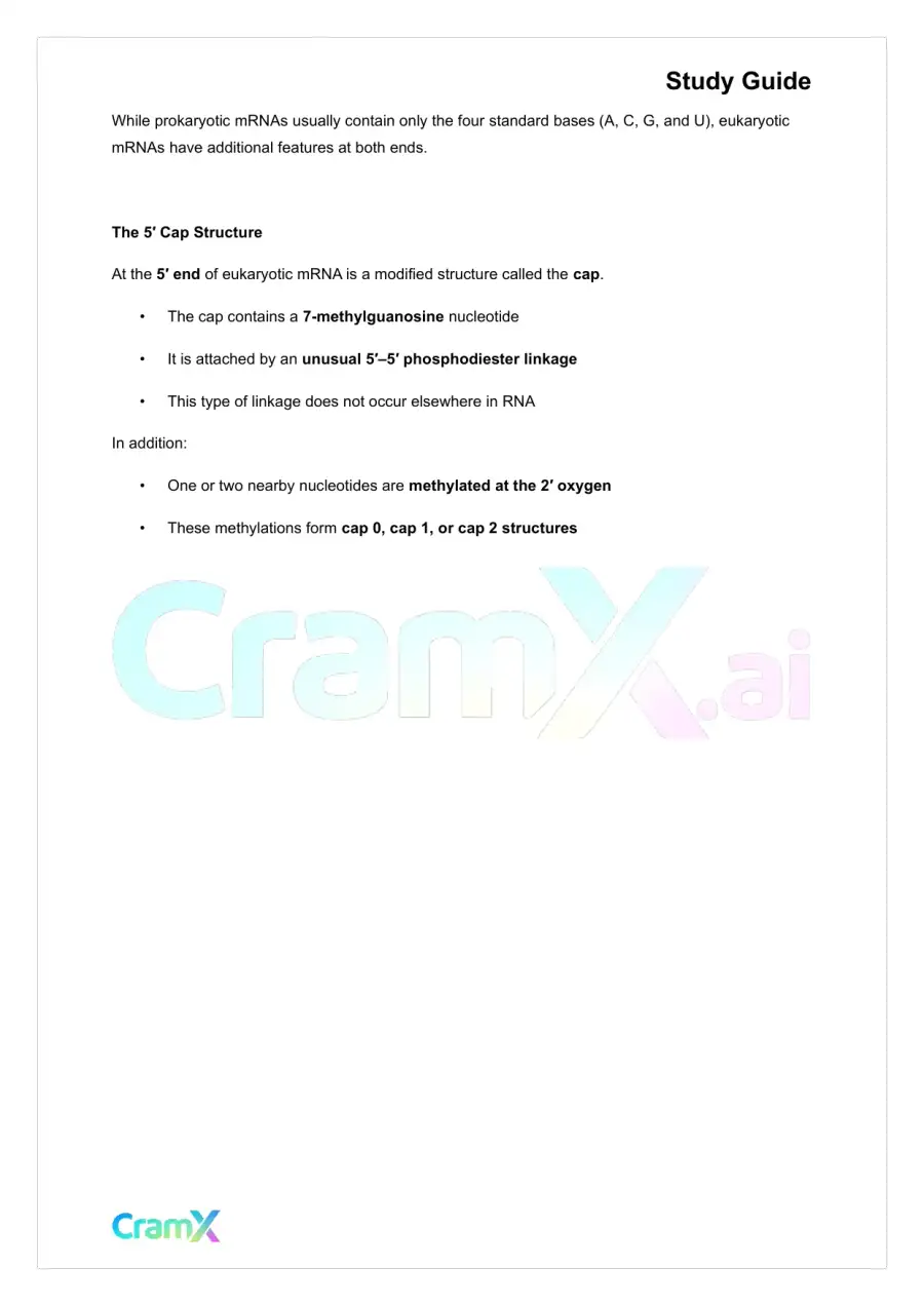 Biochemistry-II - RNA and Transcription, page 3