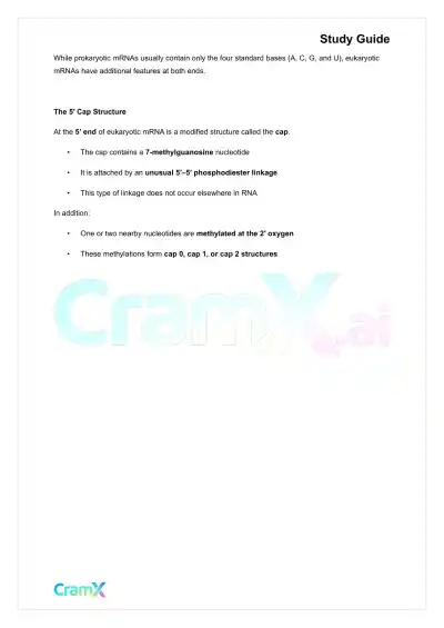 Biochemistry-II - RNA and Transcription - Page 3 preview image