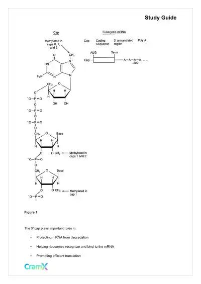Biochemistry-II - RNA and Transcription - Page 4 preview image