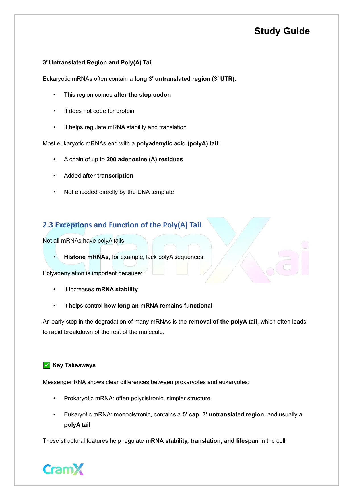 Biochemistry-II - RNA and Transcription - Page 5 preview image