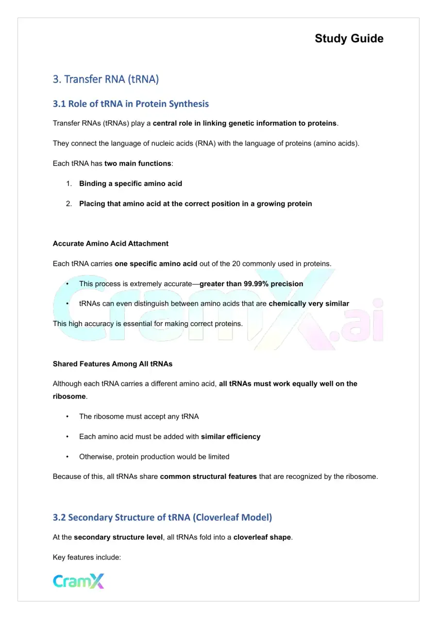 Biochemistry-II - RNA and Transcription, page 6