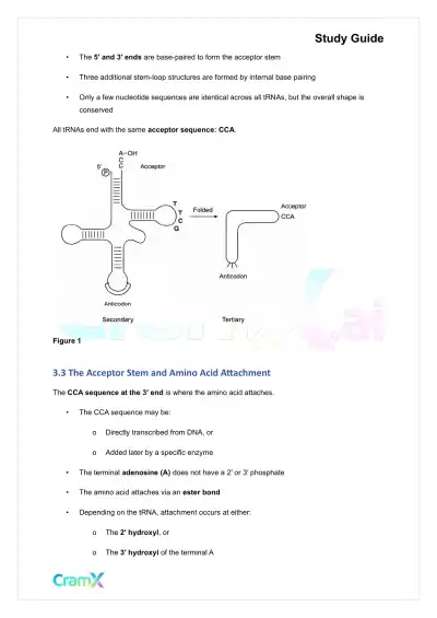Biochemistry-II - RNA and Transcription - Page 7 preview image