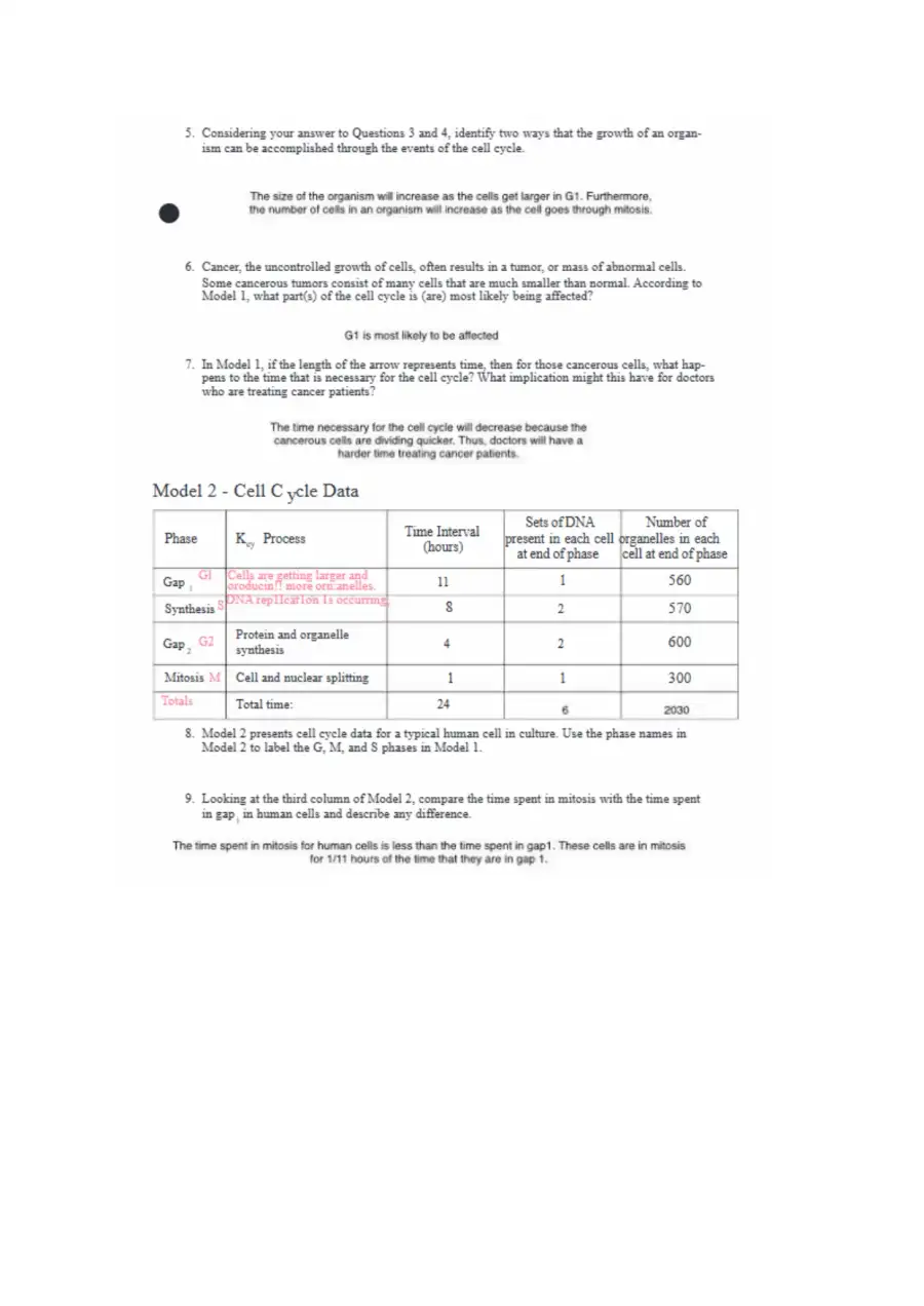 Cell Cycle POGIL StudentWorksheetFa2022, page 2