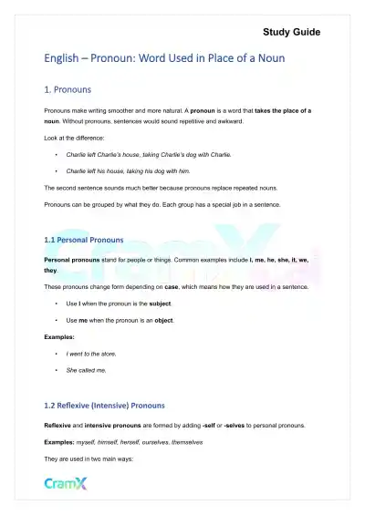 English - Pronoun Word Used in Place of a Noun - Page 1 preview image