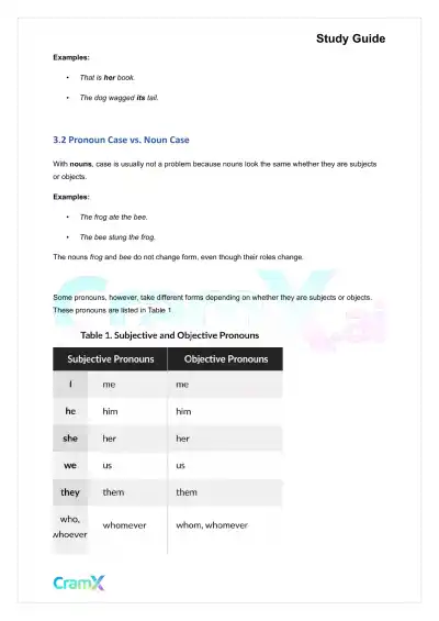 English - Pronoun Word Used in Place of a Noun - Page 8 preview image