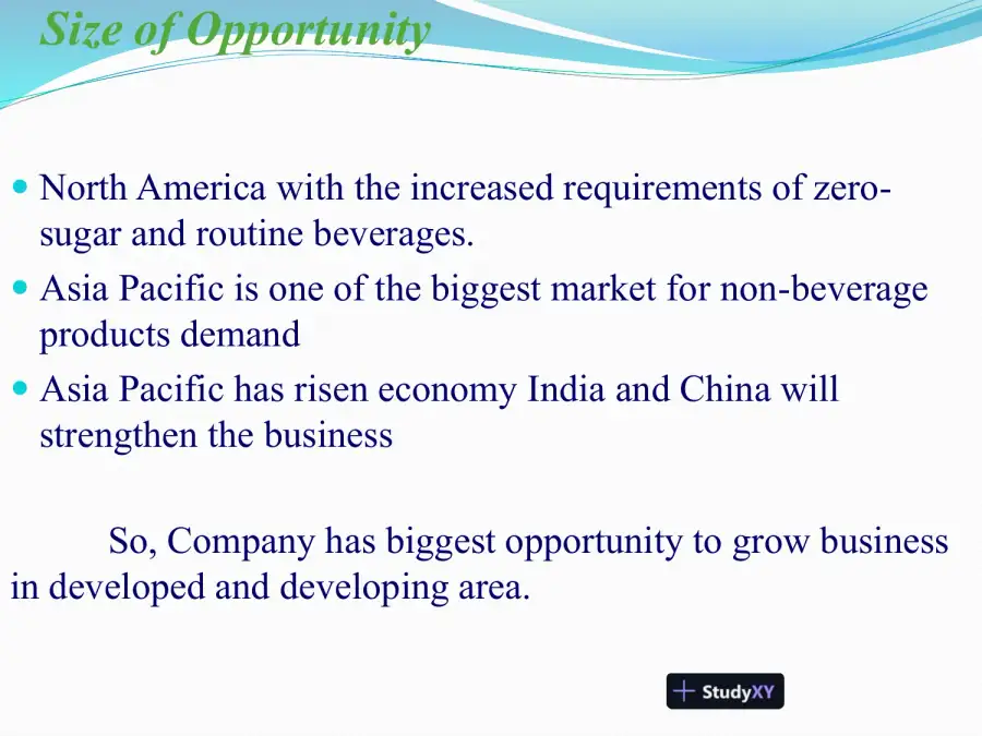 The Freshi Inc.: Non-Alcoholic Beverage Corporation, page 3
