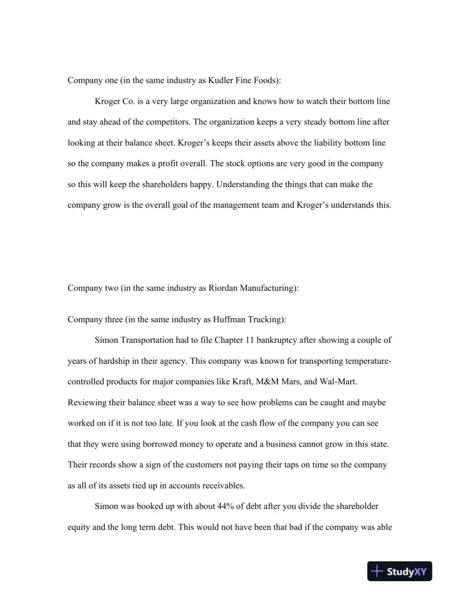 BSA/500 Week 4 Individual Assignment: Balance Sheet and Income Statement, page 3