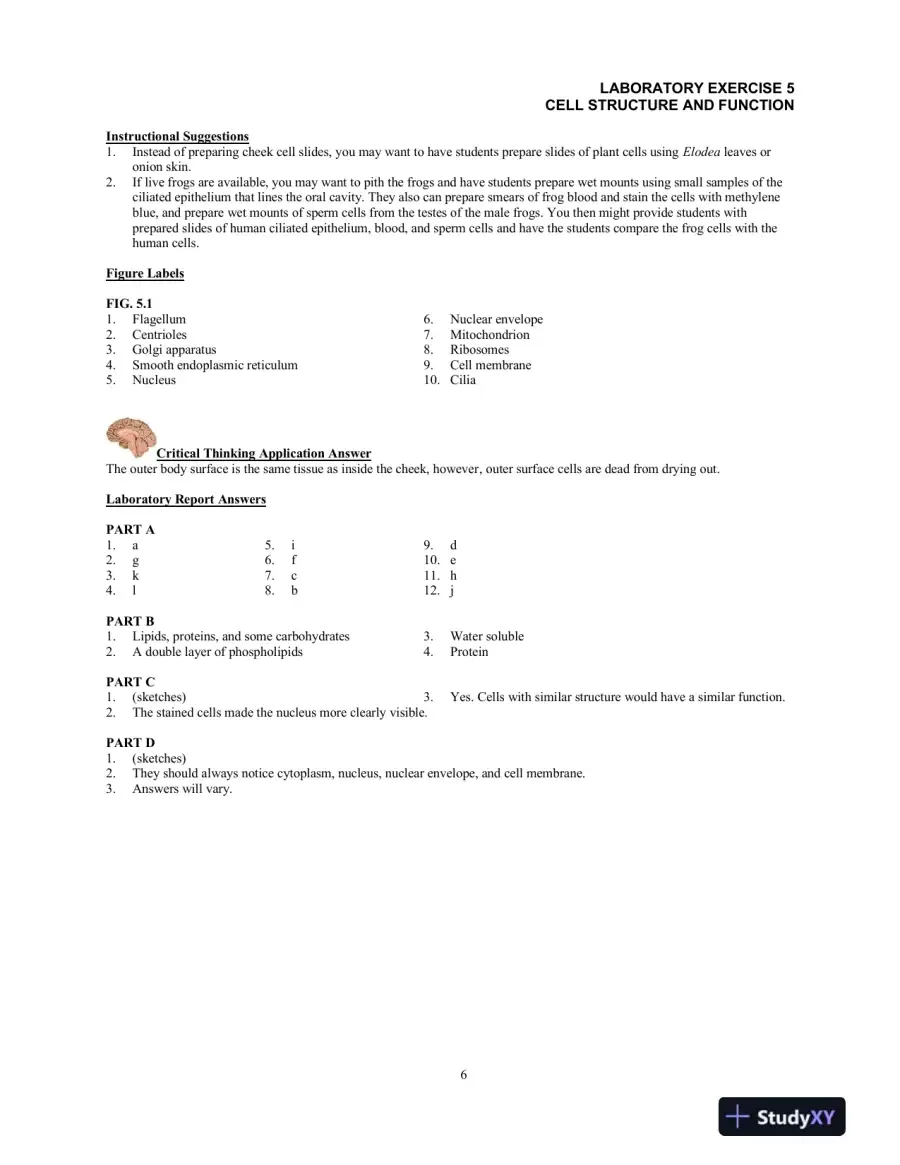 Lecture Notes For Hole's Essentials of Human Anatomy and Physiology, 14th Edition, page 16