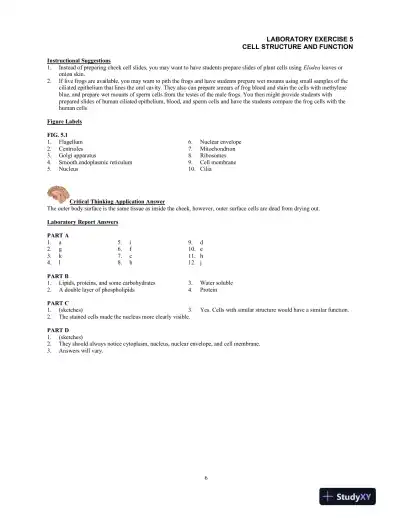 Lecture Notes For Hole's Essentials of Human Anatomy and Physiology, 14th Edition - Page 16 preview image