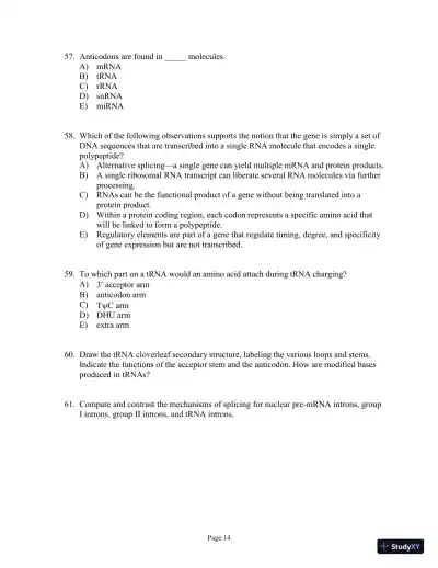 Test Bank for Genetics Essentials: Concepts and Connections, 3rd Edition - Page 15 preview image
