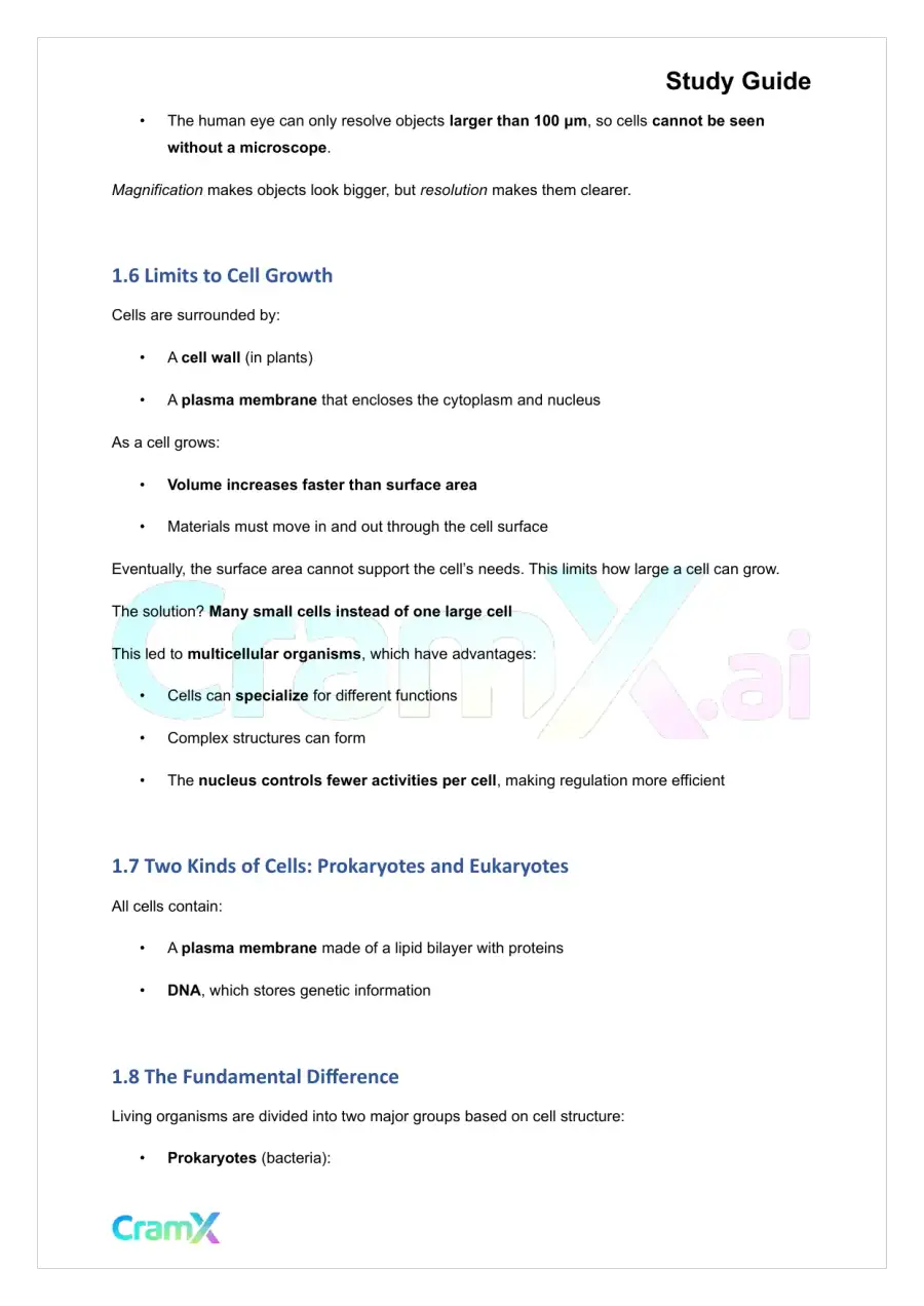 Plant Biology - Cells, page 3