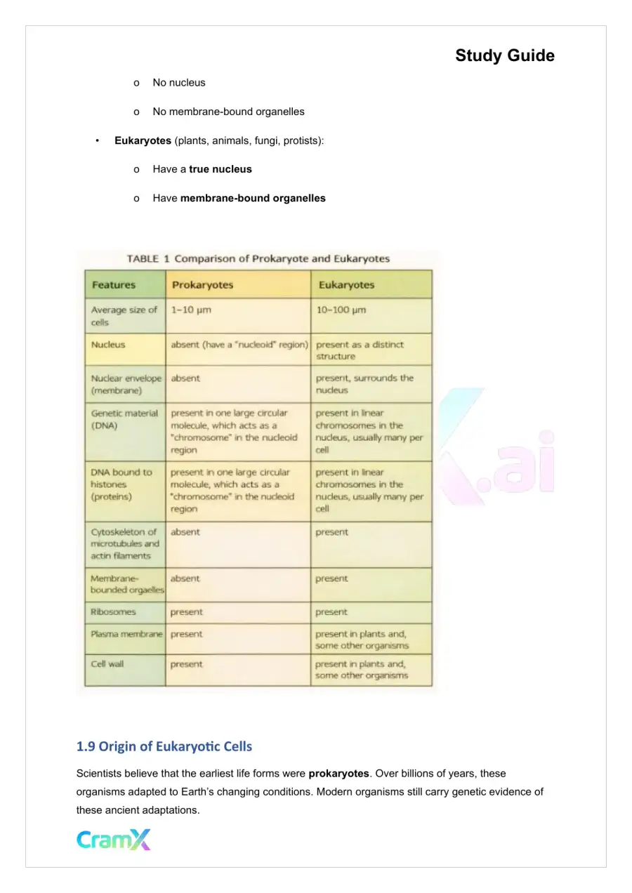 Plant Biology - Cells, page 4