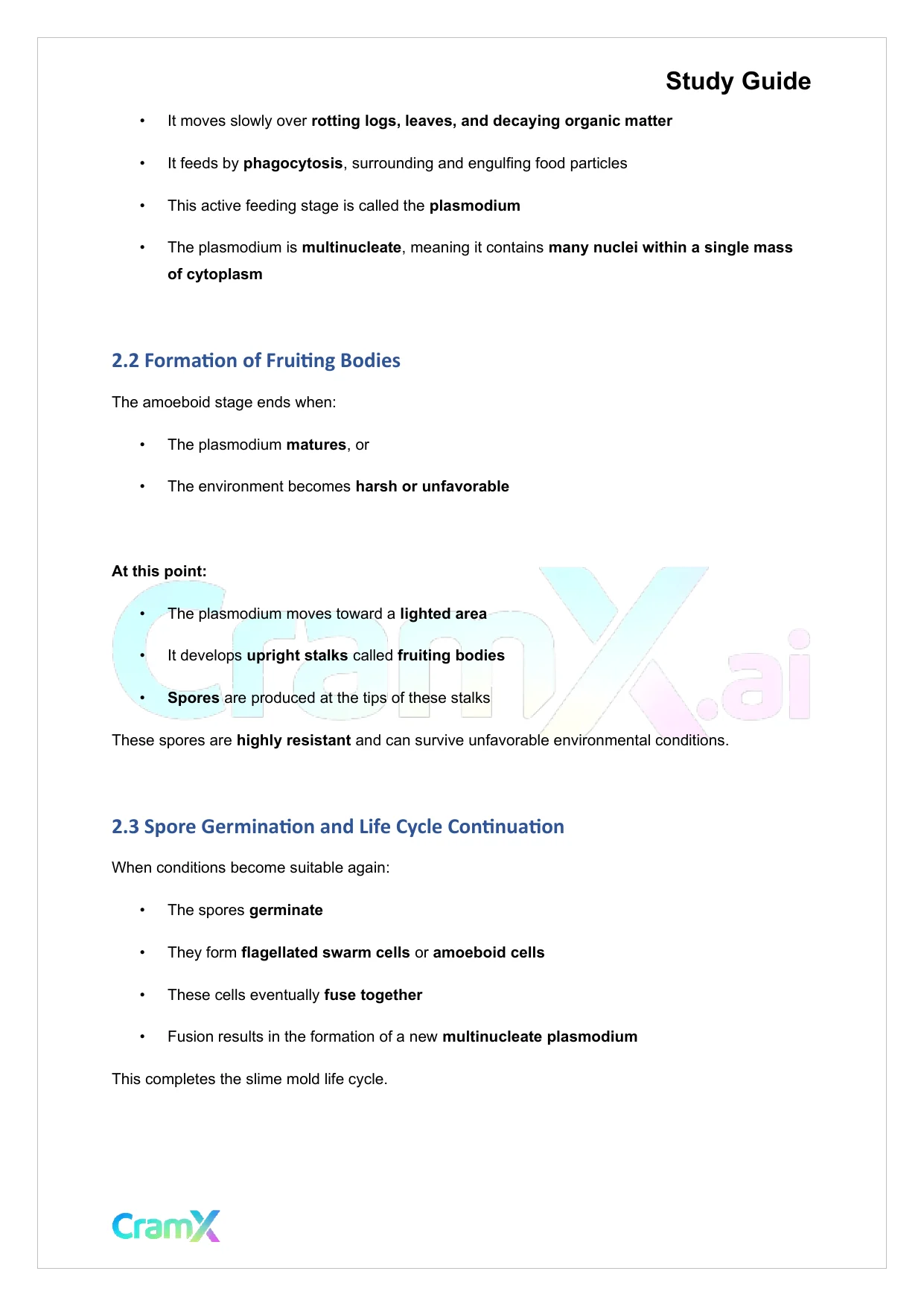 Microbiology - The Fungi - Page 4 preview image