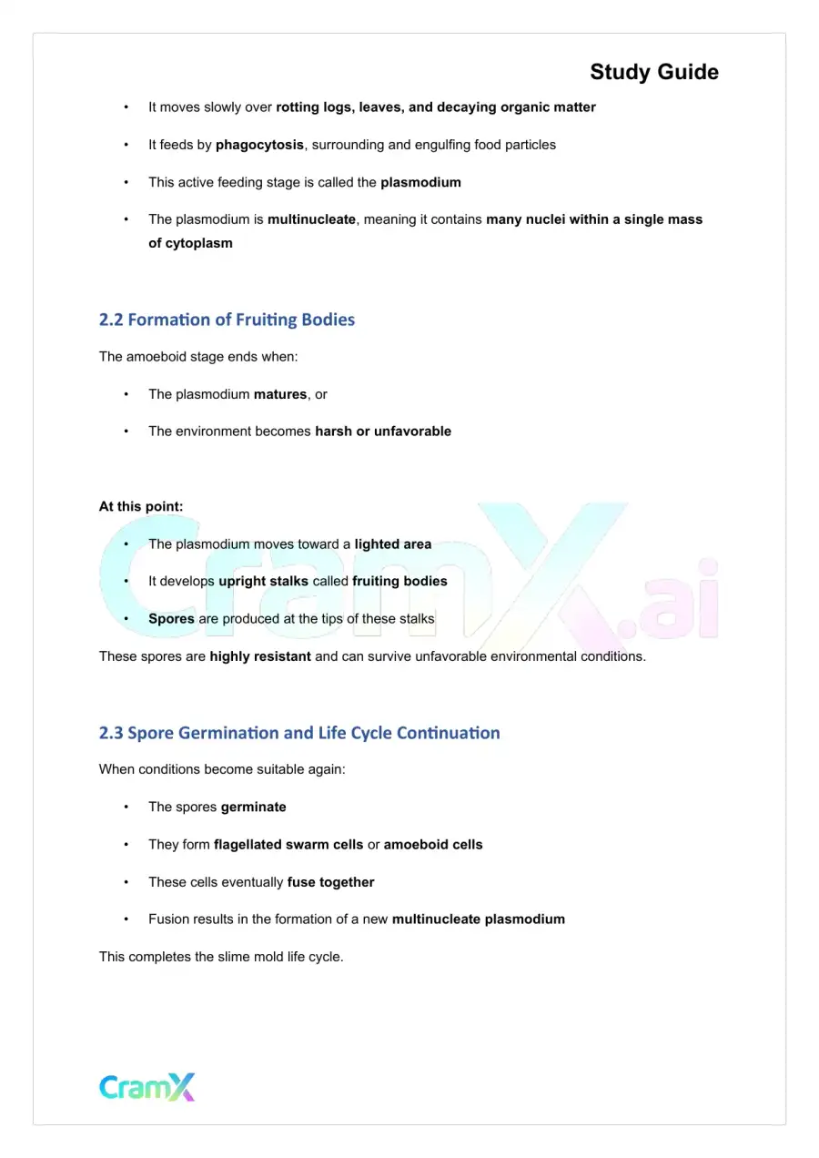 Microbiology - The Fungi, page 4