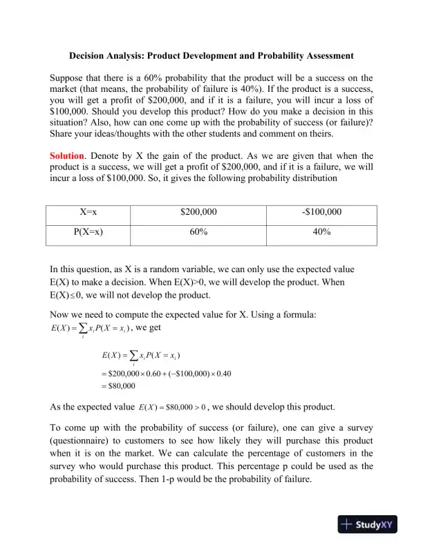 Decision Analysis: Product Development and Probability Assessment - Page 1 preview image