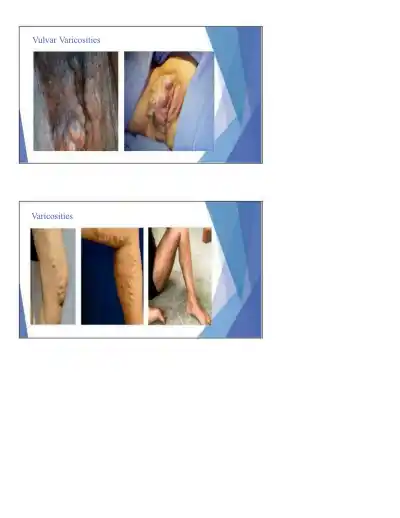 Maternal Health Theory and Applications - Page 2 preview image