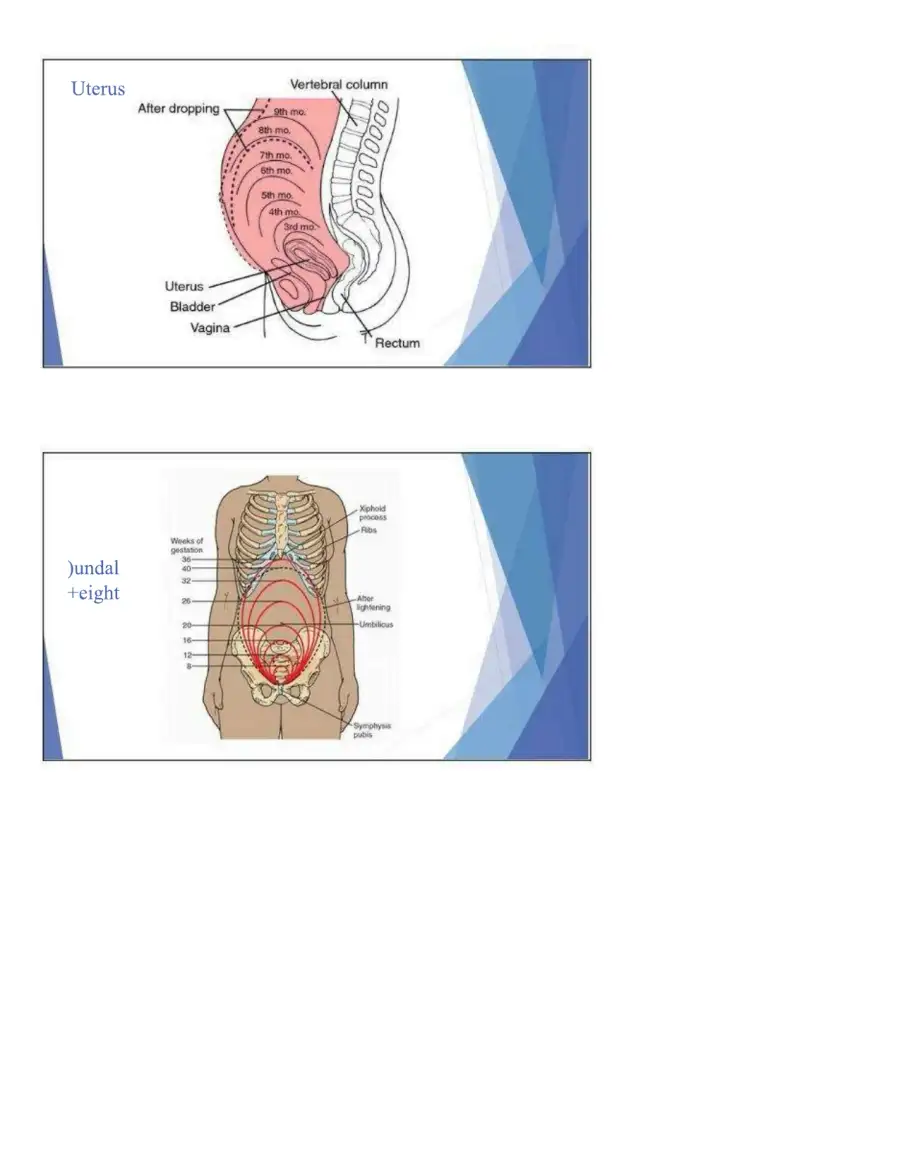 Maternal Health Theory and Applications, page 3