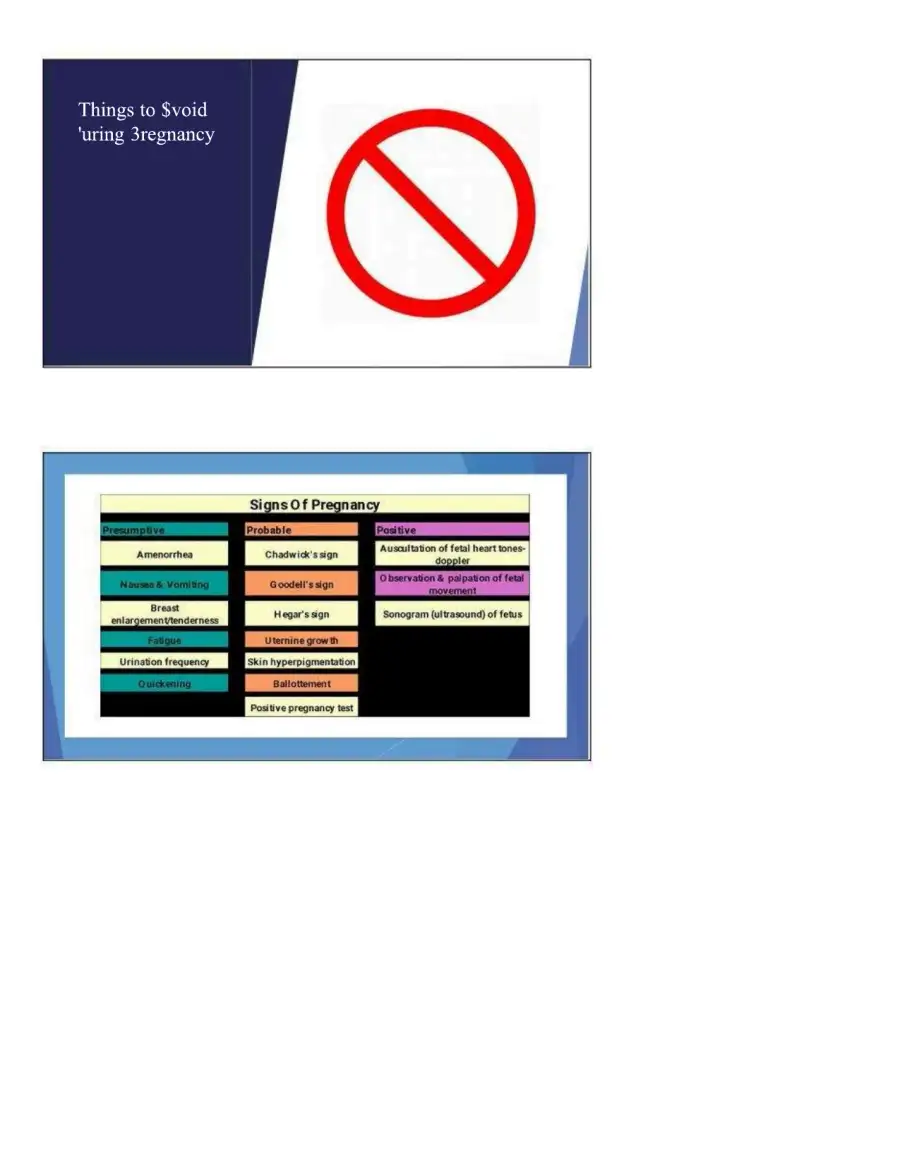 Maternal Health Theory and Applications, page 4