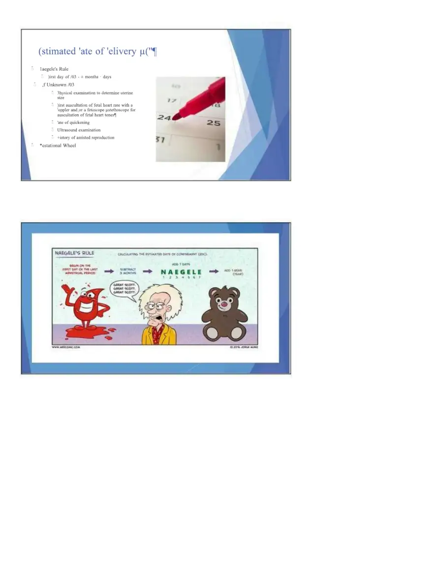 Maternal Health Theory and Applications, page 5