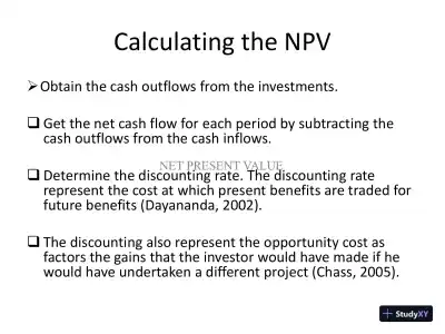 Teaching Net Present Value (NPV) And Future Value (FV) - BUS 401 - Page 5 preview image