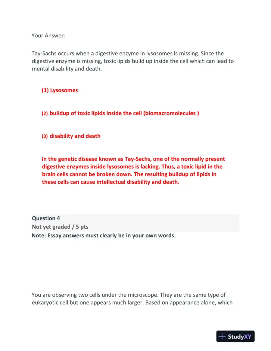 BIOD210 Anatomy and Physiology Final Exam With Answers (23 Solved Questions), page 6
