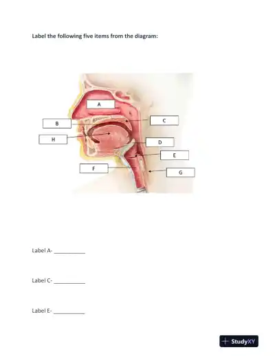 BIOD210 Anatomy and Physiology Final Exam With Answers (23 Solved Questions) - Page 9 preview image