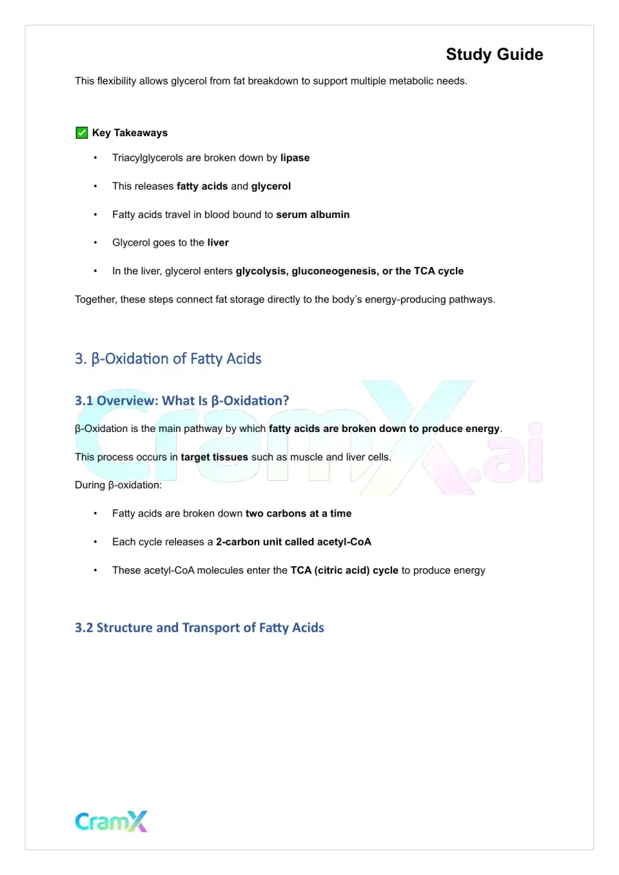 Biochemistry-II - Fatty Acid Oxidation, page 10