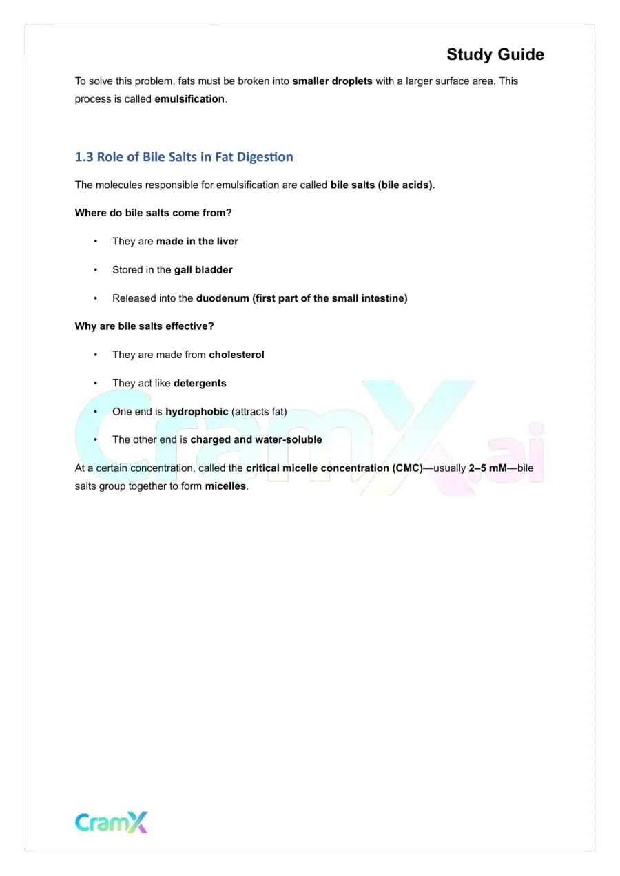 Biochemistry-II - Fatty Acid Oxidation, page 2