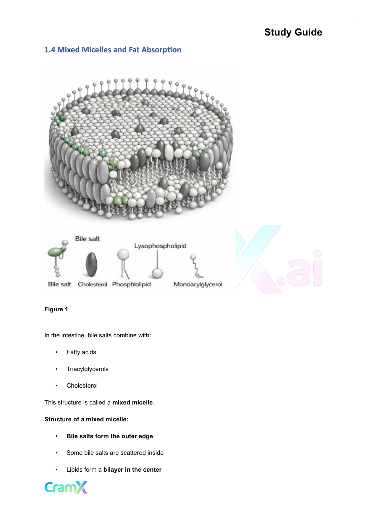 Biochemistry-II - Fatty Acid Oxidation - Page 3 preview image