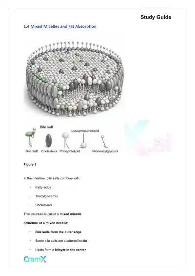 Biochemistry-II - Fatty Acid Oxidation - Page 3 preview image