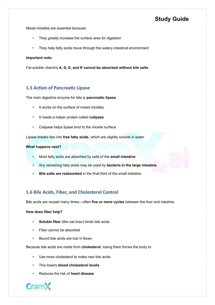 Biochemistry-II - Fatty Acid Oxidation, page 4