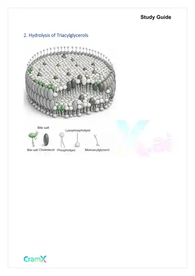 Biochemistry-II - Fatty Acid Oxidation - Page 7 preview image