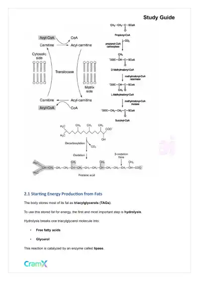 Biochemistry-II - Fatty Acid Oxidation - Page 8 preview image