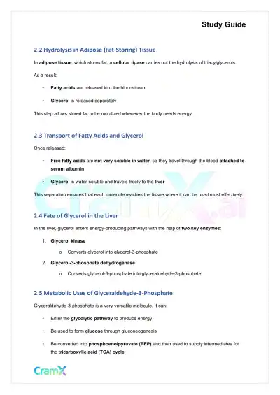 Biochemistry-II - Fatty Acid Oxidation - Page 9 preview image
