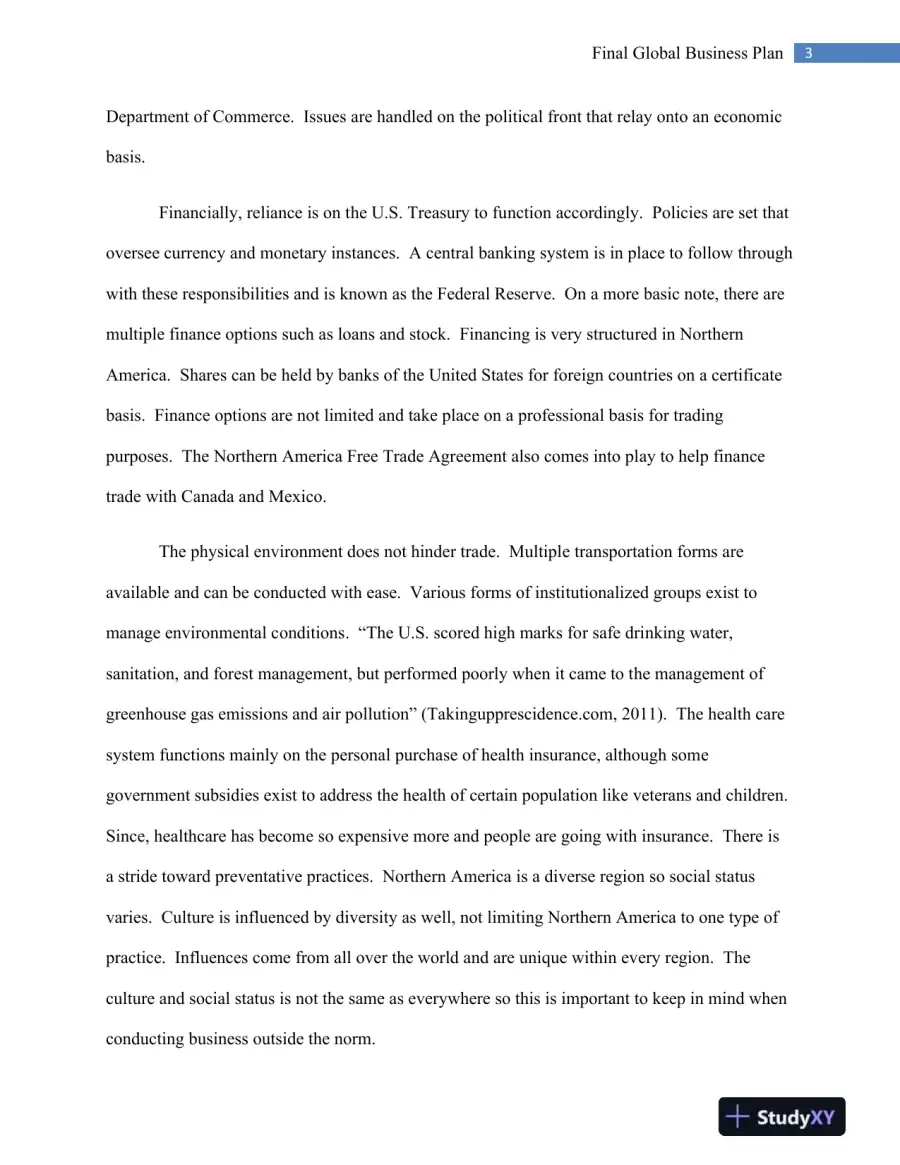 MGT 448 Final Global Business Plan, page 4
