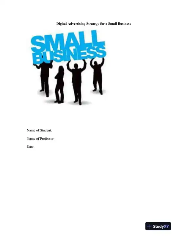 Digital Advertising Strategy for a Small Business - Page 1 preview image