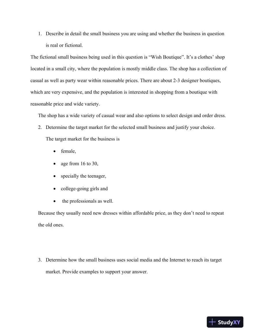 Digital Advertising Strategy for a Small Business, page 3