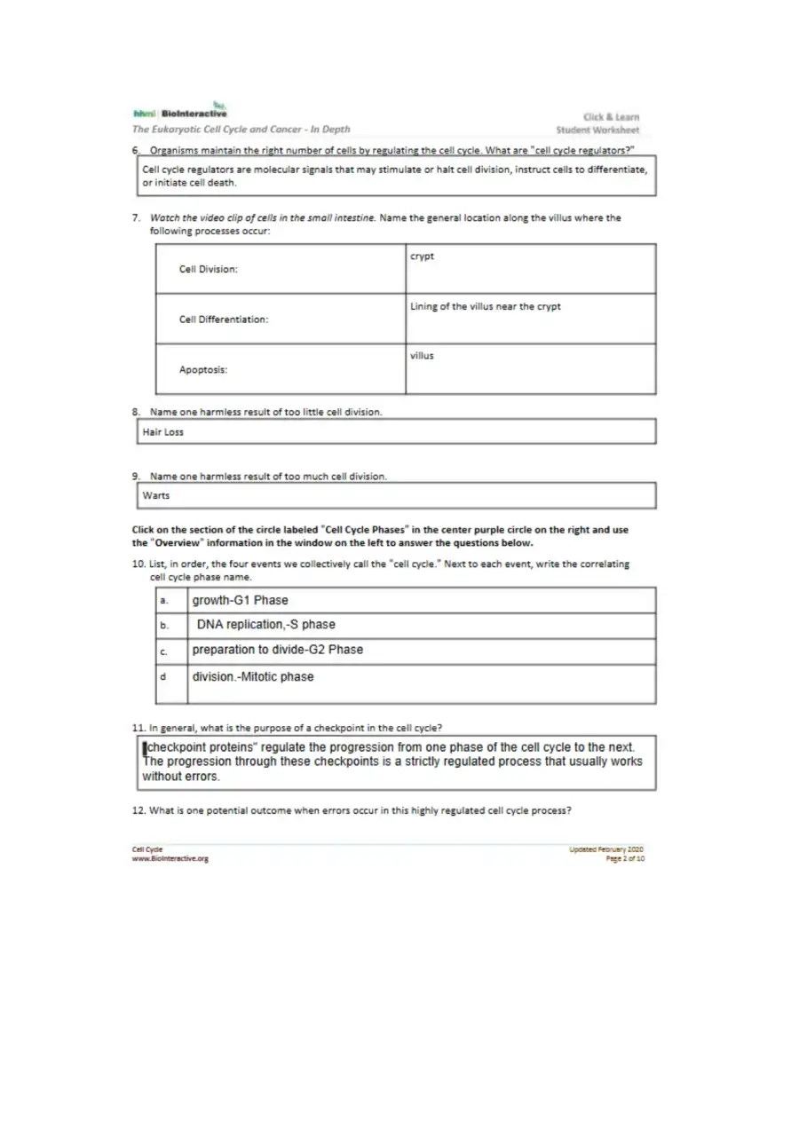 EukaryoticCellCycleCancer, page 2