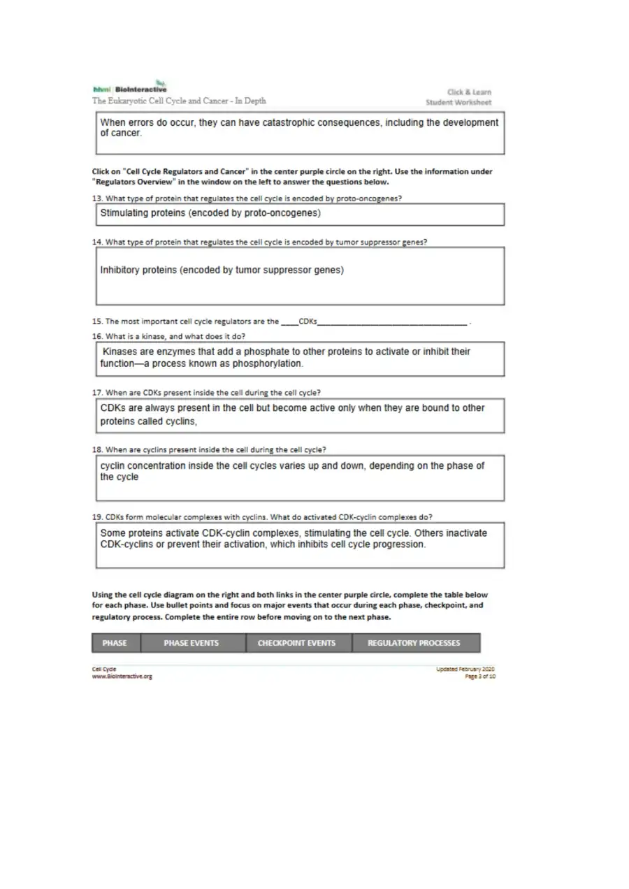 EukaryoticCellCycleCancer, page 3