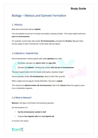 Biology - Meiosis and Gamete Formation - Page 1 preview image