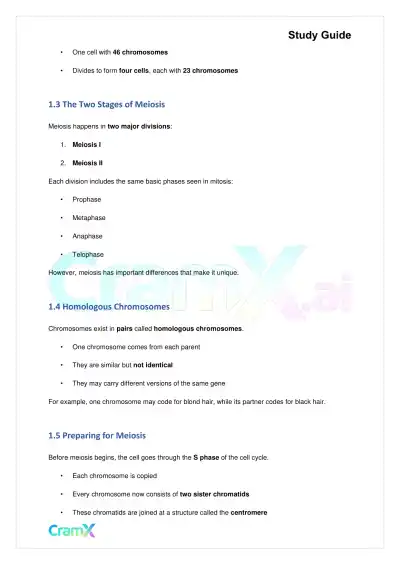 Biology - Meiosis and Gamete Formation - Page 2 preview image