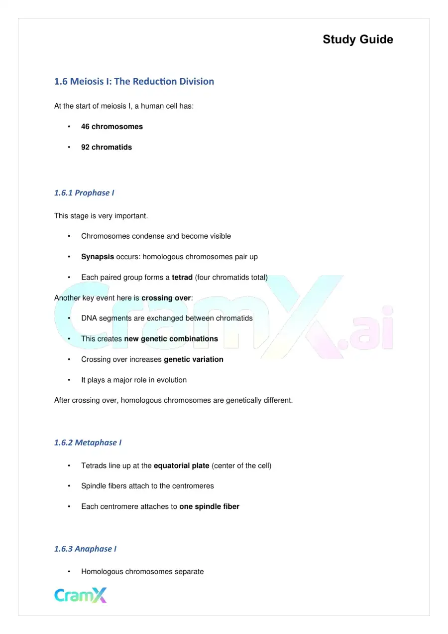 Biology - Meiosis and Gamete Formation, page 3