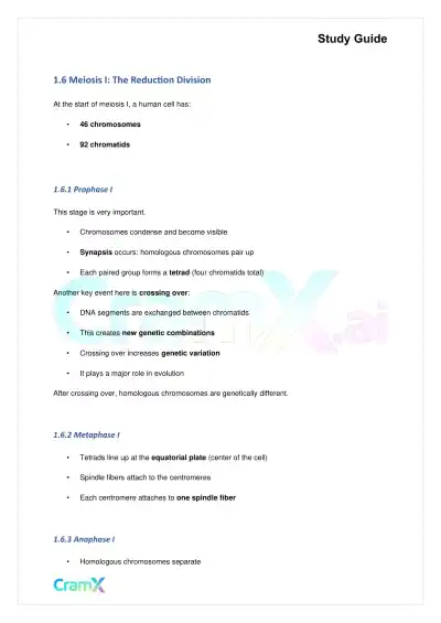 Biology - Meiosis and Gamete Formation - Page 3 preview image