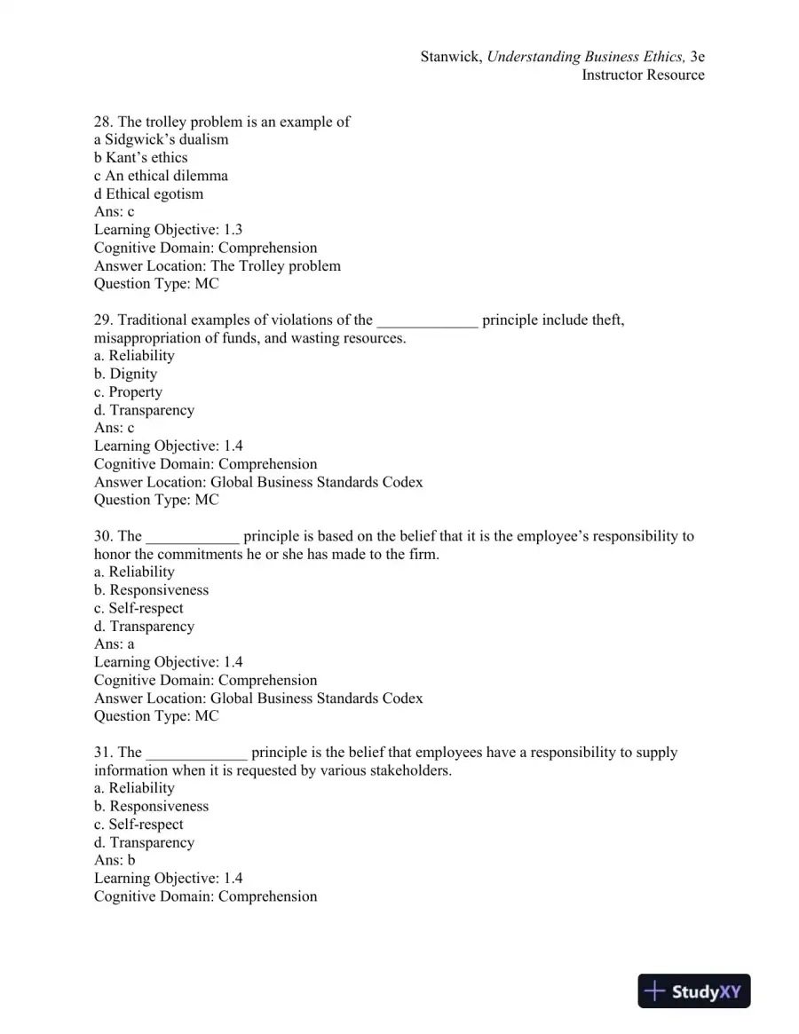 Understanding Business Ethics Third Edition Test Bank, page 9