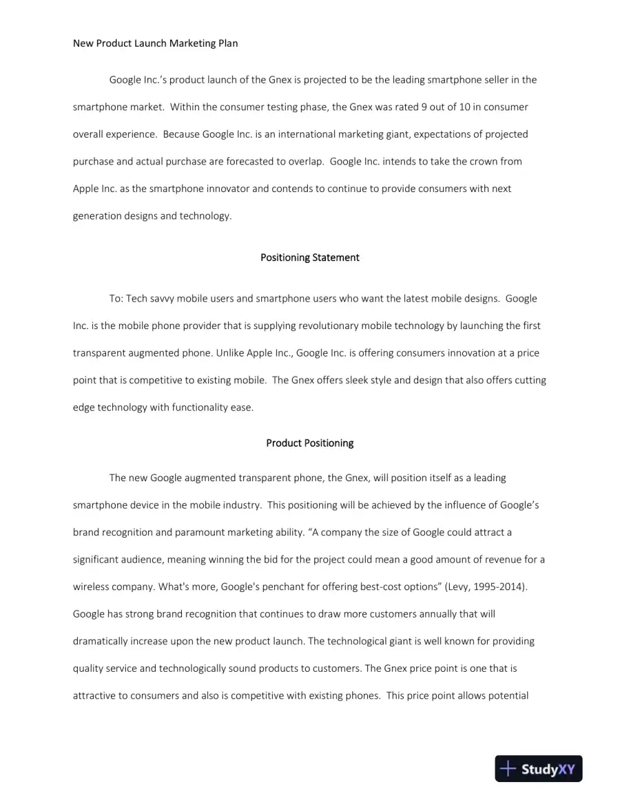 New Product Launch Marketing Plan, page 4