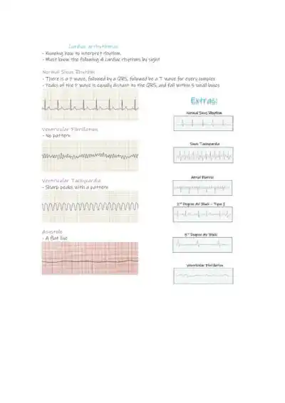 NCLEX Review Notes Mark Klimek Lectures - Page 19 preview image