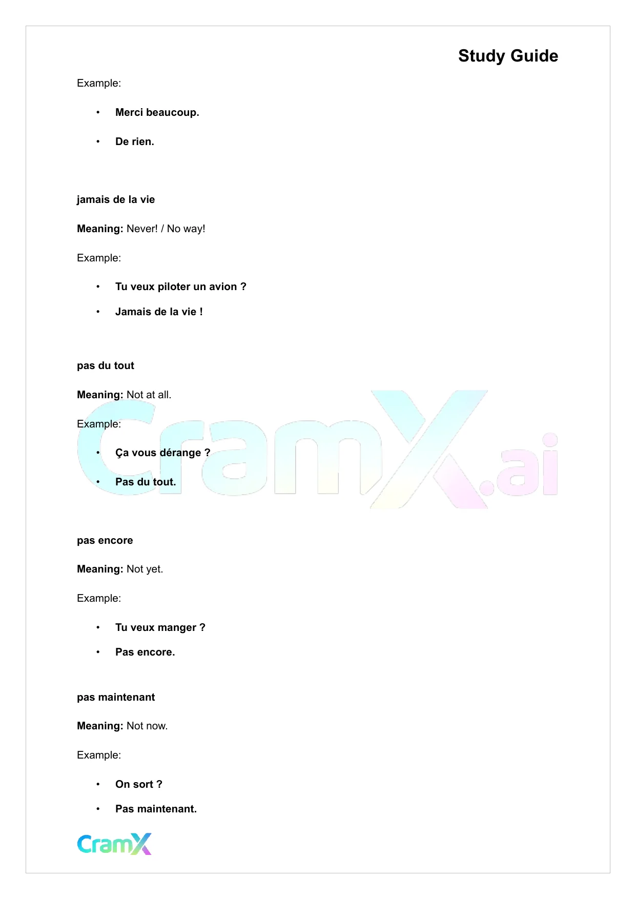 French I - Negation - Page 4 preview image