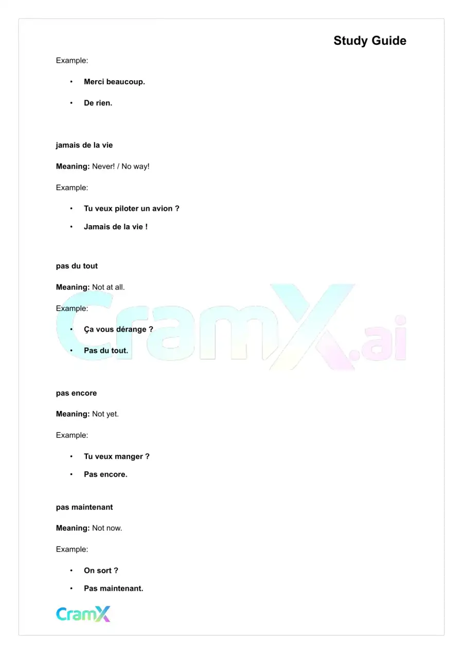 French I - Negation, page 4